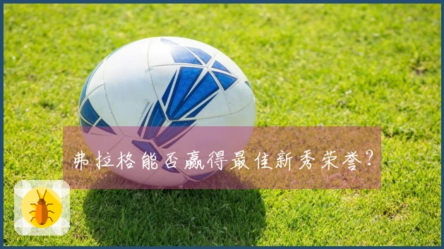 弗拉格能否赢得最佳新秀荣誉？